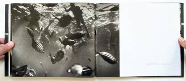 Sample page 16 for book  Trent Parke – The Seventh Wave : Photographs of Australian Beaches