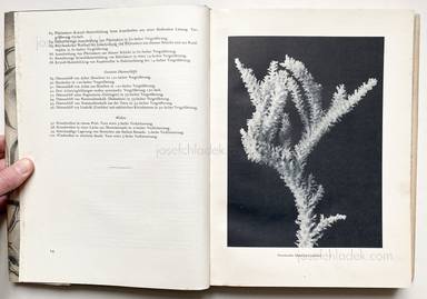 Sample page 1 for book Oskar Prochnow – Formenkunst der Natur