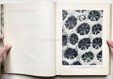 Sample page 3 for book Oskar Prochnow – Formenkunst der Natur