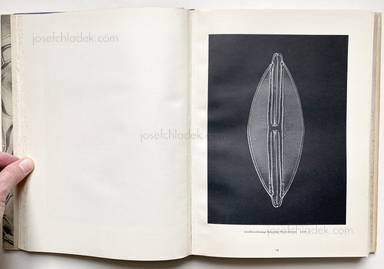 Sample page 7 for book Oskar Prochnow – Formenkunst der Natur