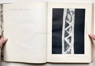Sample page 8 for book Oskar Prochnow – Formenkunst der Natur