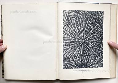 Sample page 16 for book Oskar Prochnow – Formenkunst der Natur