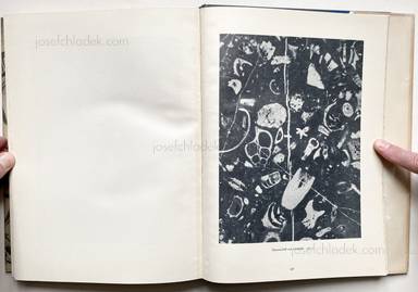 Sample page 18 for book Oskar Prochnow – Formenkunst der Natur
