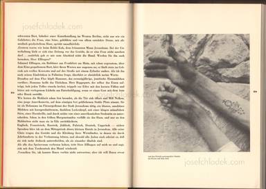 Sample page 4 for book Armin T. Wegner – Jagd durch das tausendjährige Land