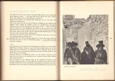 Sample page 11 for book Armin T. Wegner – Jagd durch das tausendjährige Land