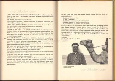 Sample page 12 for book Armin T. Wegner – Jagd durch das tausendjährige Land