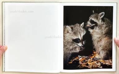 Sample page 6 for book  Gregory Halpern – A