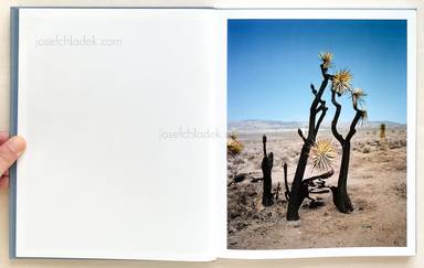 Sample page 1 for book  Gregory Halpern – ZZYZX