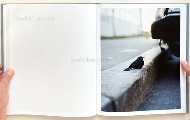 Sample page 11 for book  Gregory Halpern – ZZYZX