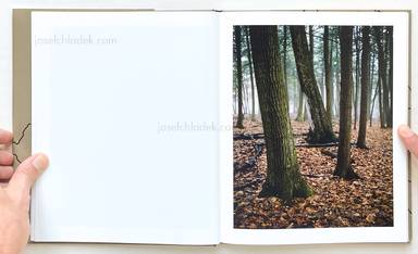Sample page 3 for book Jake Reinhart – Laurel Mountain Laurel