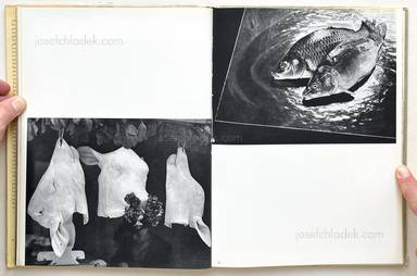 Sample page 4 for book  Otto Steinert – Subjektive Fotografie - Ein Bildband moderner Fotografie