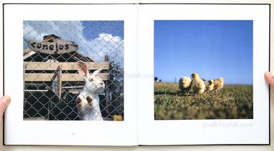 Sample page 14 for book  Alessandra Sanguinetti – On The Sixth Day