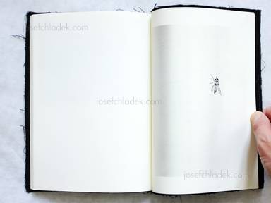 Sample page 12 for book  Yusuke Yamatani – Tsugi no yoru e... / On to the next night