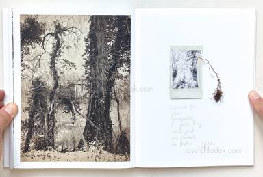 Sample page 13 for book  Regina Anzenberger – Roots & Waltz