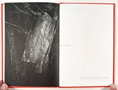 Sample page 15 for book Ros Boisier – Inside