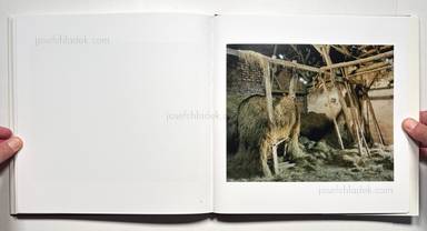 Sample page 12 for book  Bernhard Fuchs – Heustock