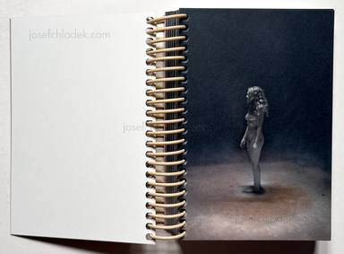 Sample page 2 for book Elizabeth Alderliesten – Not Shameless