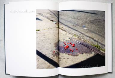 Sample page 25 for book  Paul Graham – a shimmer of possibility