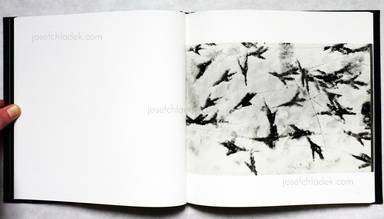 Sample page 6 for book  Masahisa Fukase – Karasu (The Solitude of Ravens)