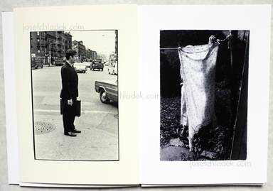 Sample page 2 for book  William and Cage Gedney – Iris Garden