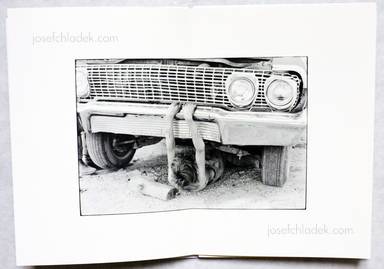 Sample page 6 for book  William and Cage Gedney – Iris Garden