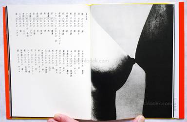 Sample page 12 for book  Eikoh Hosoe – Man and Woman