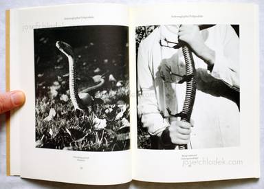 Sample page 4 for book  Joan / Formiguera Fontcuberta – Dr. Ameisenhaufens Fauna