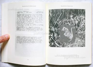 Sample page 6 for book  Joan / Formiguera Fontcuberta – Dr. Ameisenhaufens Fauna