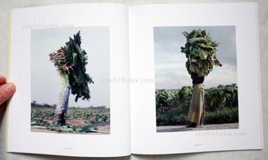 Sample page 3 for book  Jackie Nickerson – Contact Sheet 174 - Terrain