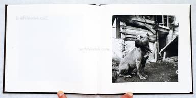 Sample page 7 for book  Jaka Babnik – We are dogs!