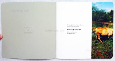 Sample page 1 for book  Koji Onaka – Horse & Cactus