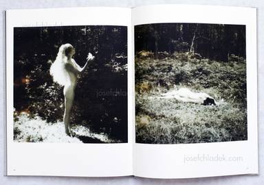 Sample page 11 for book  Marianna Rothen – Snow and Rose & other tales