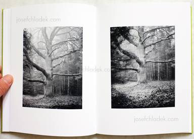 Sample page 6 for book  Michael Schmidt – Natur