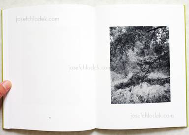 Sample page 10 for book  Michael Schmidt – Natur