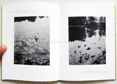 Sample page 11 for book  Michael Schmidt – Natur