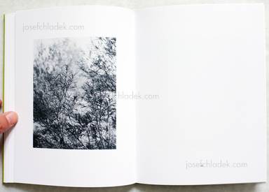 Sample page 13 for book  Michael Schmidt – Natur