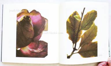 Sample page 8 for book  Ryo Ichii – The Veins