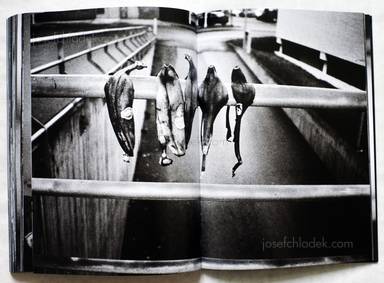 Sample page 19 for book  Halil Koyutürk – I Am Playing Ping-Pong Now