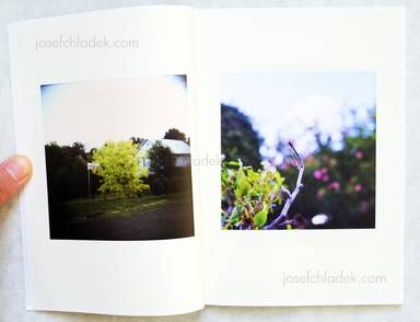 Sample page 2 for book  Chikako Mizukoshi – A yearning heart