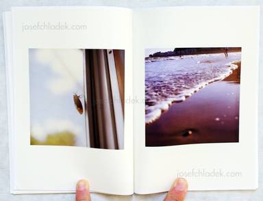 Sample page 5 for book  Chikako Mizukoshi – A yearning heart