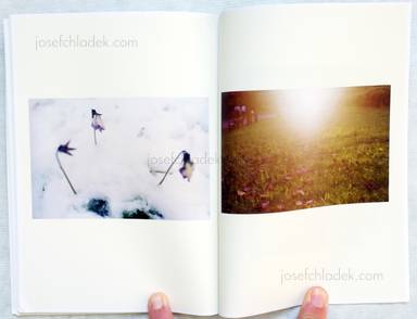 Sample page 7 for book  Chikako Mizukoshi – A yearning heart