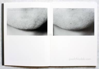 Sample page 3 for book  Jun Fujiyasu – DZ dizygotic twins