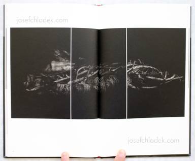 Sample page 6 for book  Yoko Mazuki – a priori innerplants