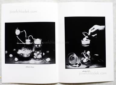Sample page 5 for book  Yasuaki Matsumoto – alchemist's dream