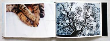 Sample page 4 for book  Junichi Okugawa – picnic 360° 