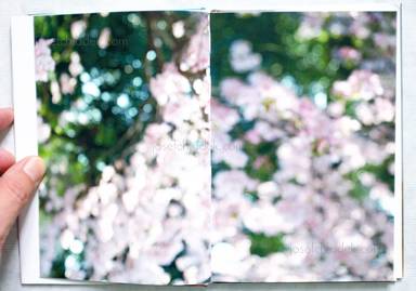 Sample page 1 for book  Aki Tanaka – Sunshine Pulse 游ぐ太陽