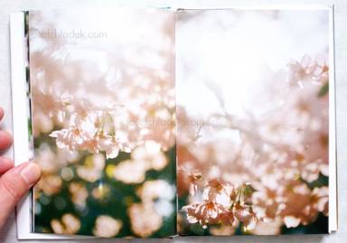 Sample page 2 for book  Aki Tanaka – Sunshine Pulse 游ぐ太陽
