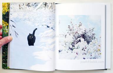 Sample page 1 for book  Tomomi Koike – Odayakana Hikari -gentle light-  / 穏やかな光