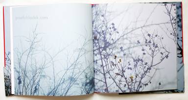 Sample page 1 for book  Tsutomu Takasaki – Silhouette