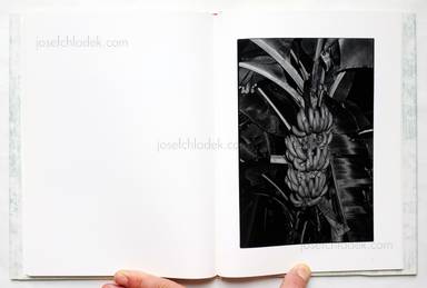 Sample page 6 for book  Chieko Shiraishi – Cactus and Tail サボテンとしっぽ